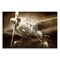 Stupell Industries Taking Flight Vintage Wall Plaque, design by Kim Allen